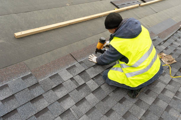 Best Sheet Metal Roofing  in Northview, MI