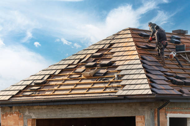 Best Skylight Installation and Repair  in Northview, MI